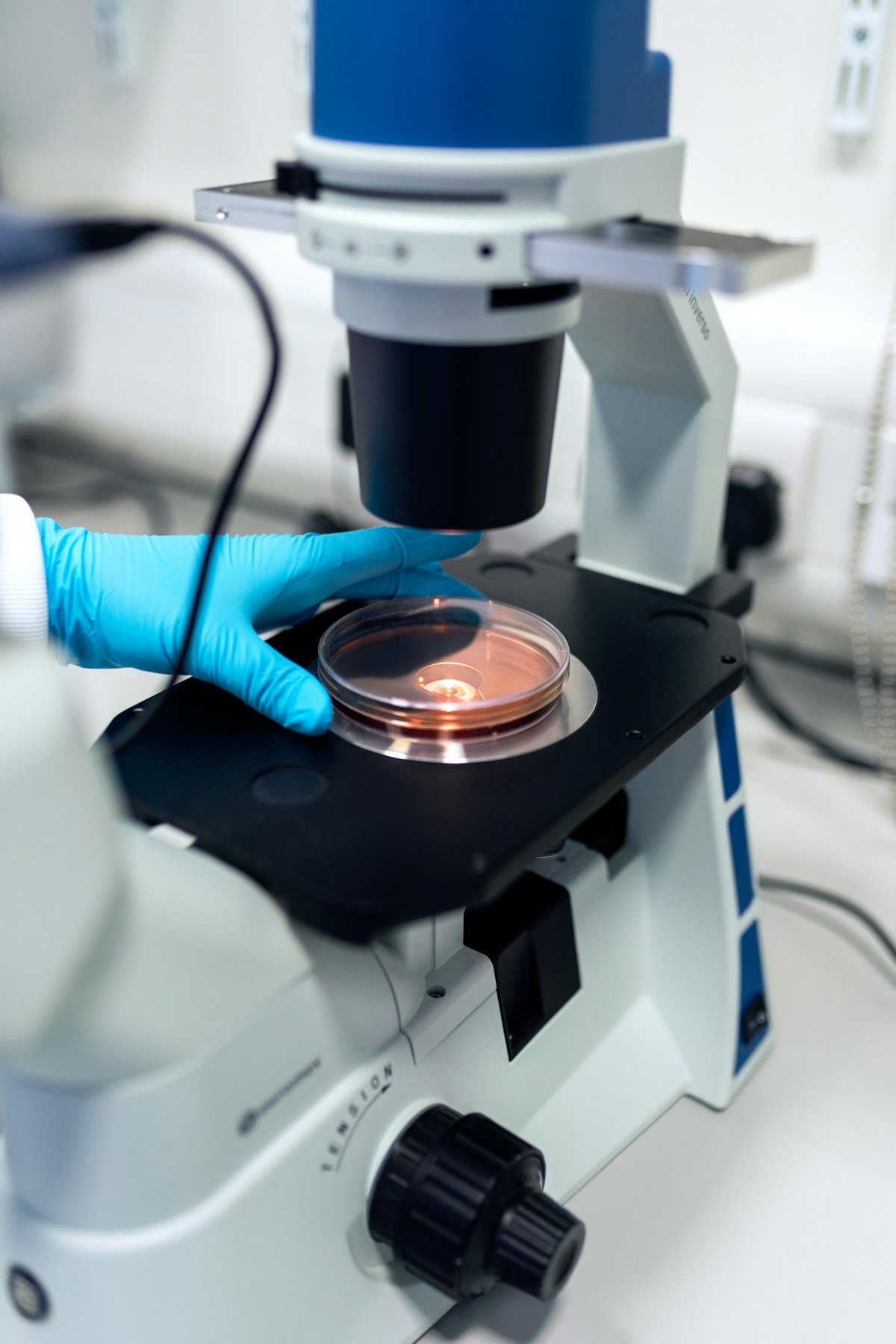 Análisis de laboratorio con microscopio
